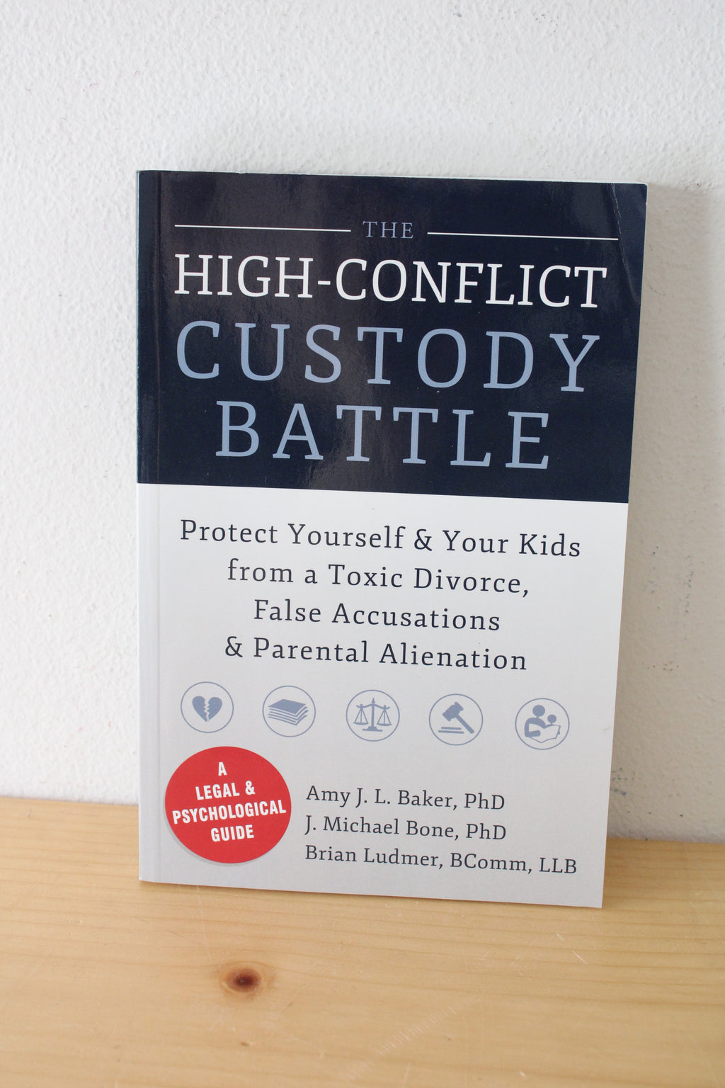 The High-Conflict Custody Battle: Protect Yourself & Your Kids From A Toxic Divorce, False Accusations, & Parental Alienation. By Amy J. L. Baker, J. Michael Bone, And Brian Ludmer.