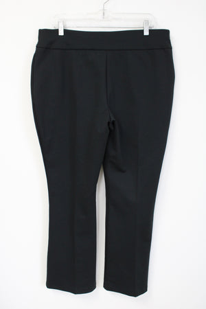 New York & Co. Black Pant | XL