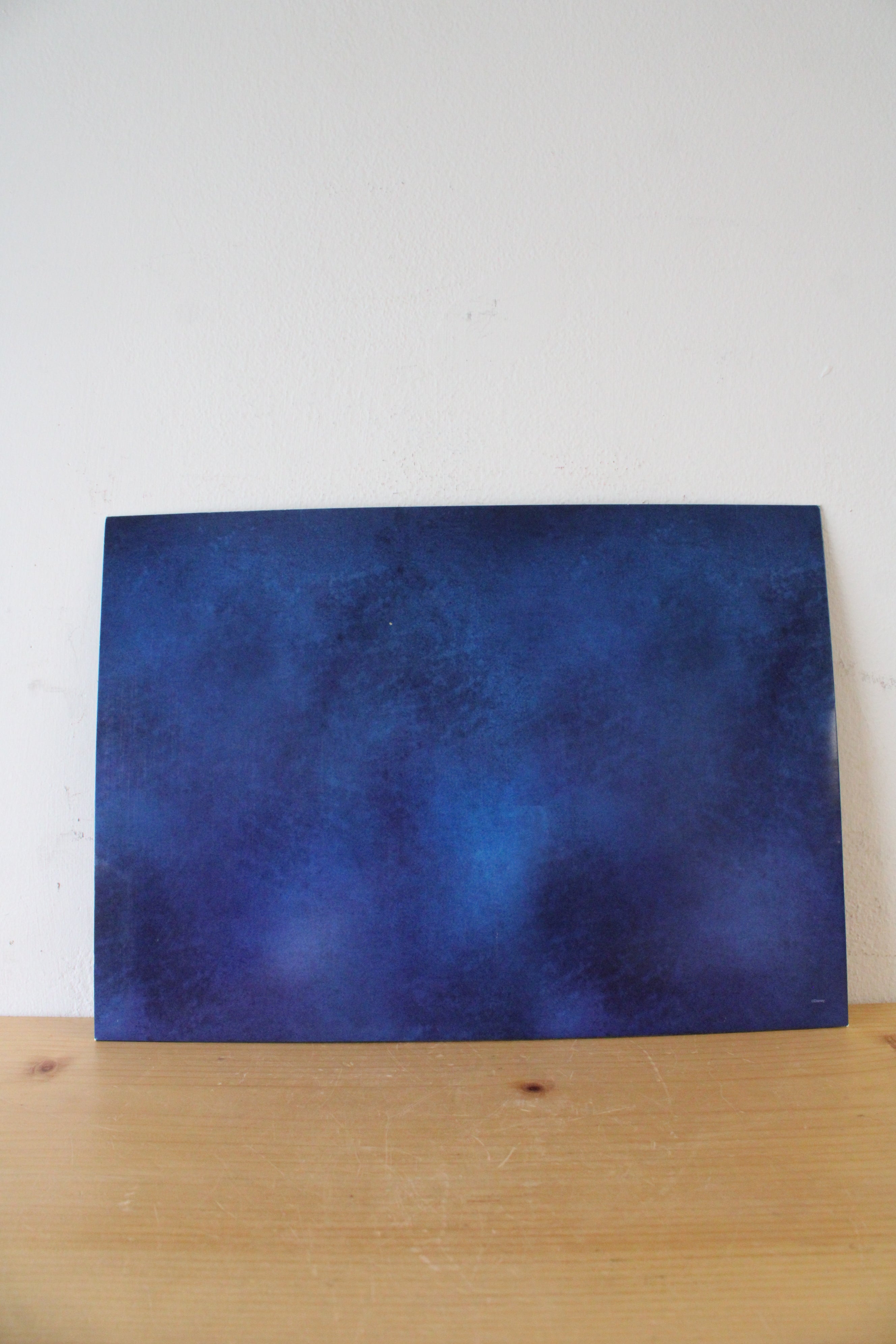 Disney 2010 Princess & The Frog Exclusive Commemorative Lithographs