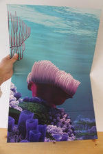 Disney Pixar Finding Nemo Exclusive Lithograph Portfolio