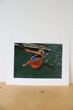 Disney Pixar Finding Nemo Exclusive Lithograph Portfolio