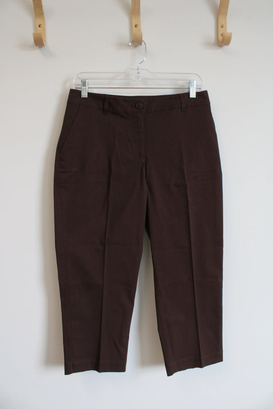 NEW Talbots Signature Brown Capri Pants | 6P