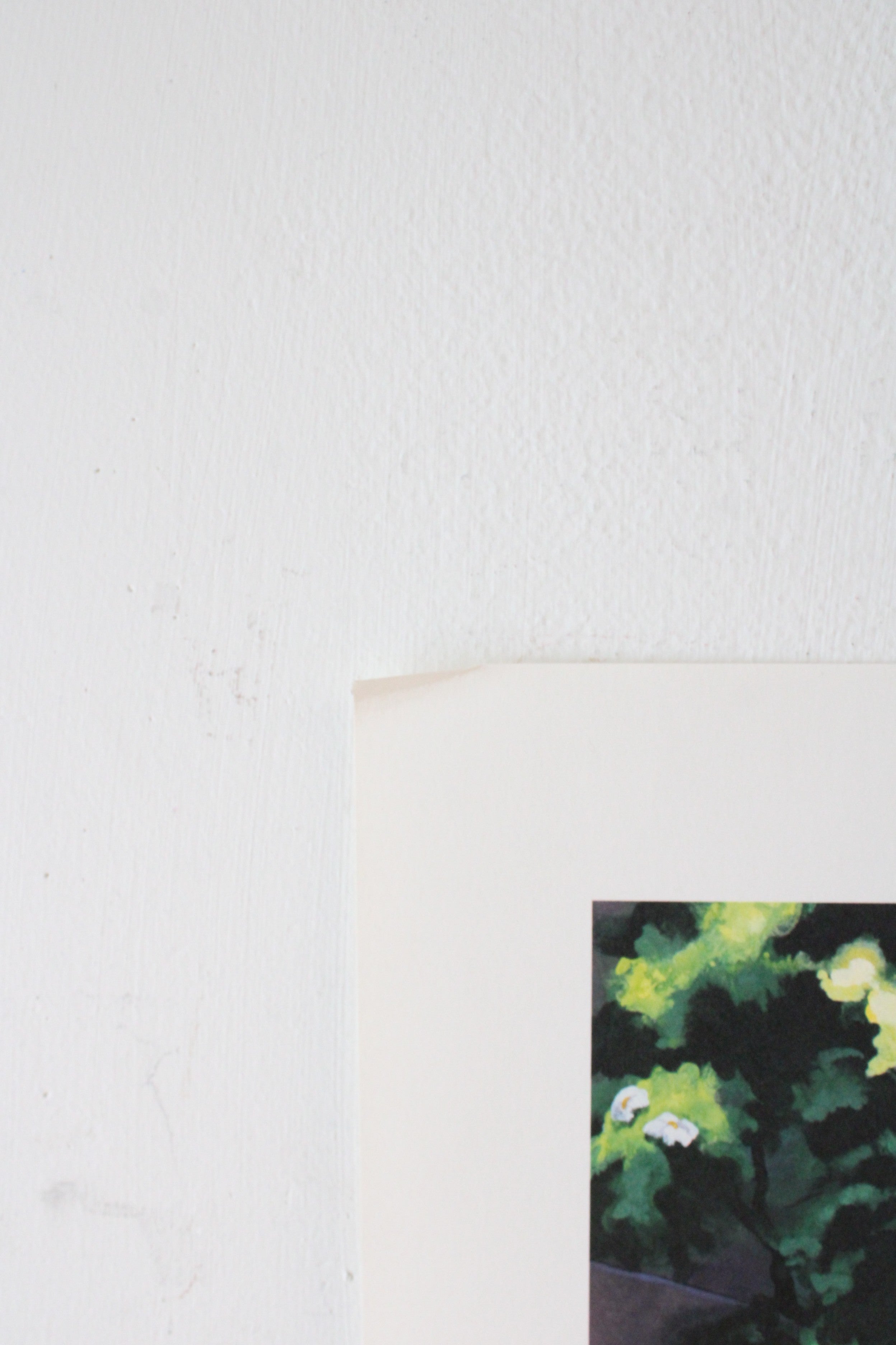 Disney 2001 Snow White & The Seven Dwarves Exclusive Lithograph Portfolio