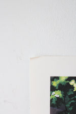 Disney 2001 Snow White & The Seven Dwarves Exclusive Lithograph Portfolio