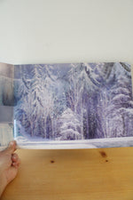 Disney 2014 Frozen Exclusive Commemorative Lithographs