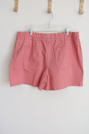 NEW Time And Tru Pink Denim Shorts | XXL (20)