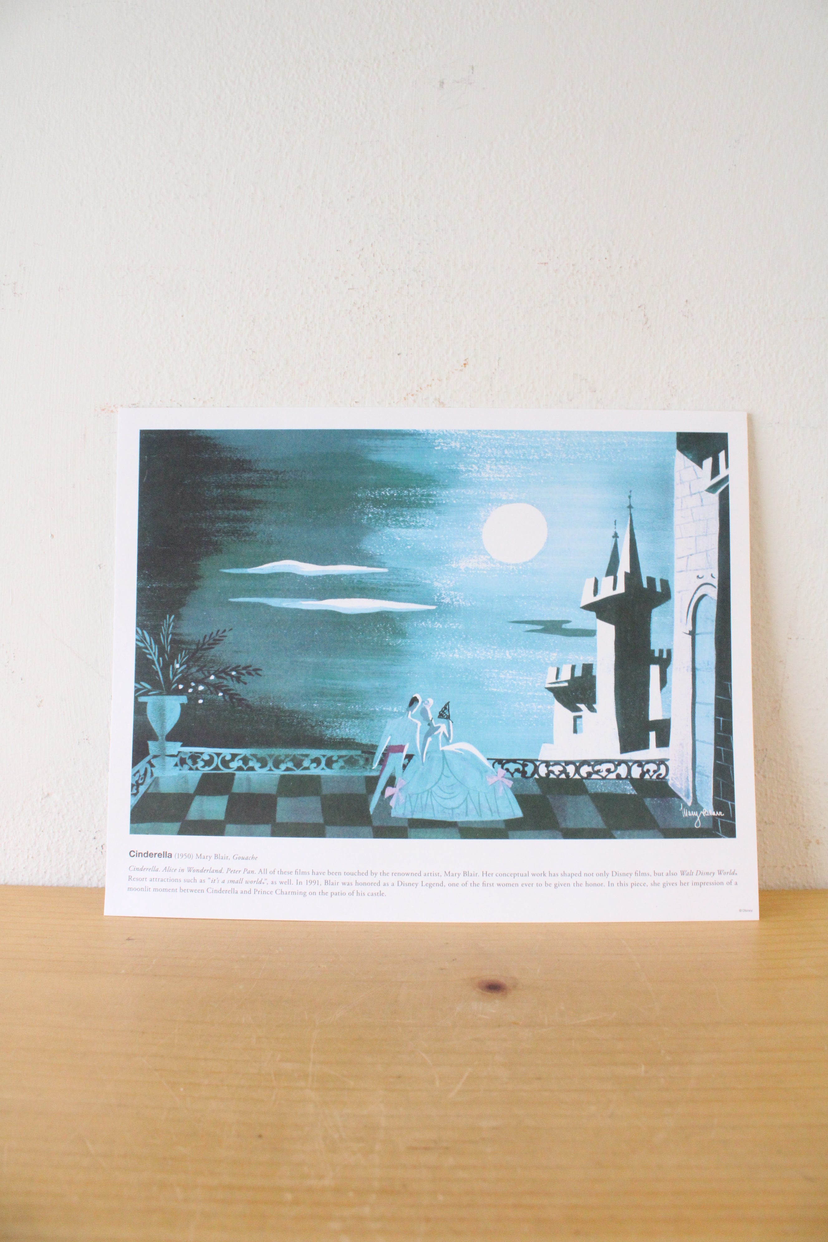 Walt Disney Resort Passholder Prints | Set Of 3