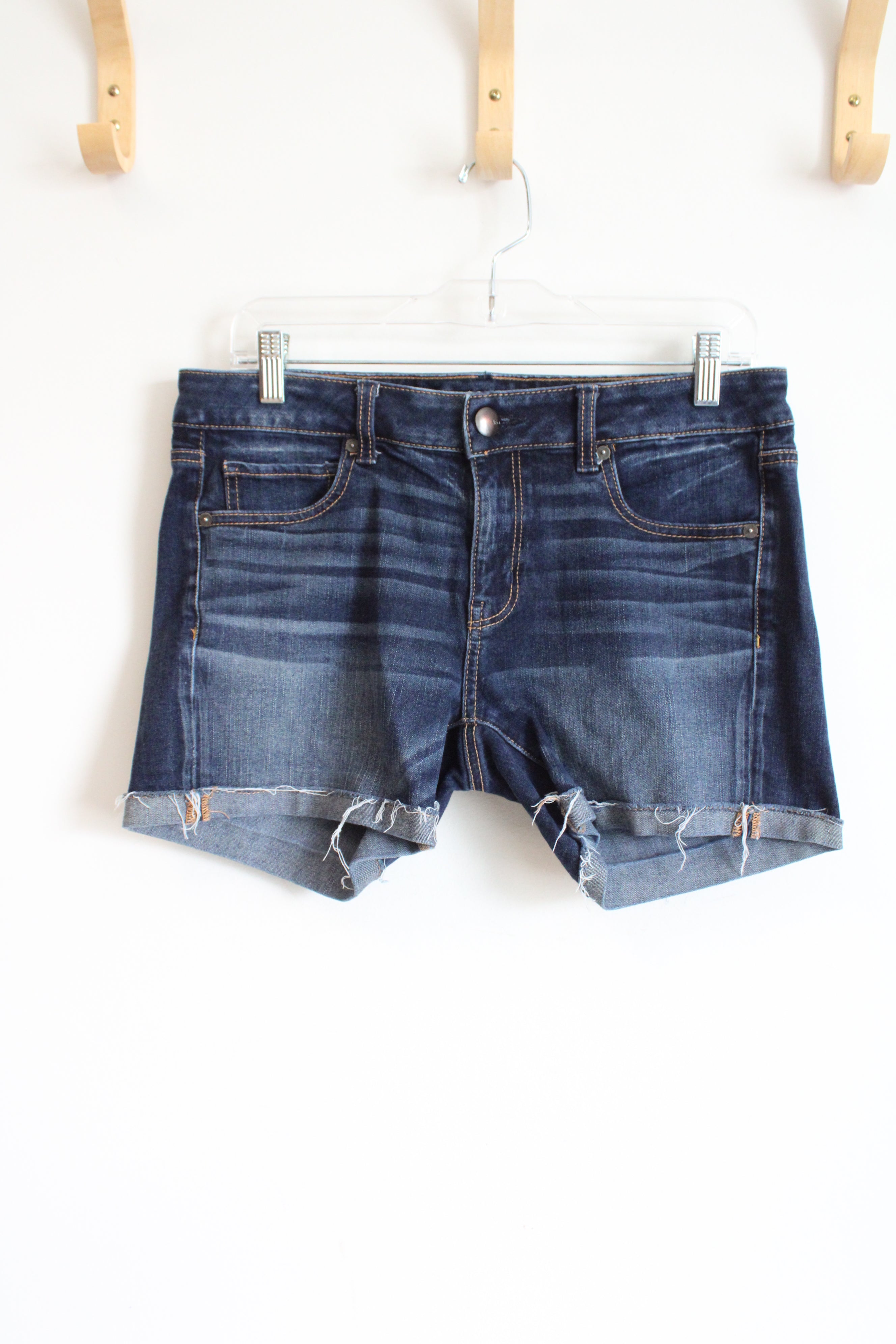 American Eagle Super Stretch Denim Shorts | 10