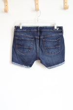 American Eagle Super Stretch Denim Shorts | 10