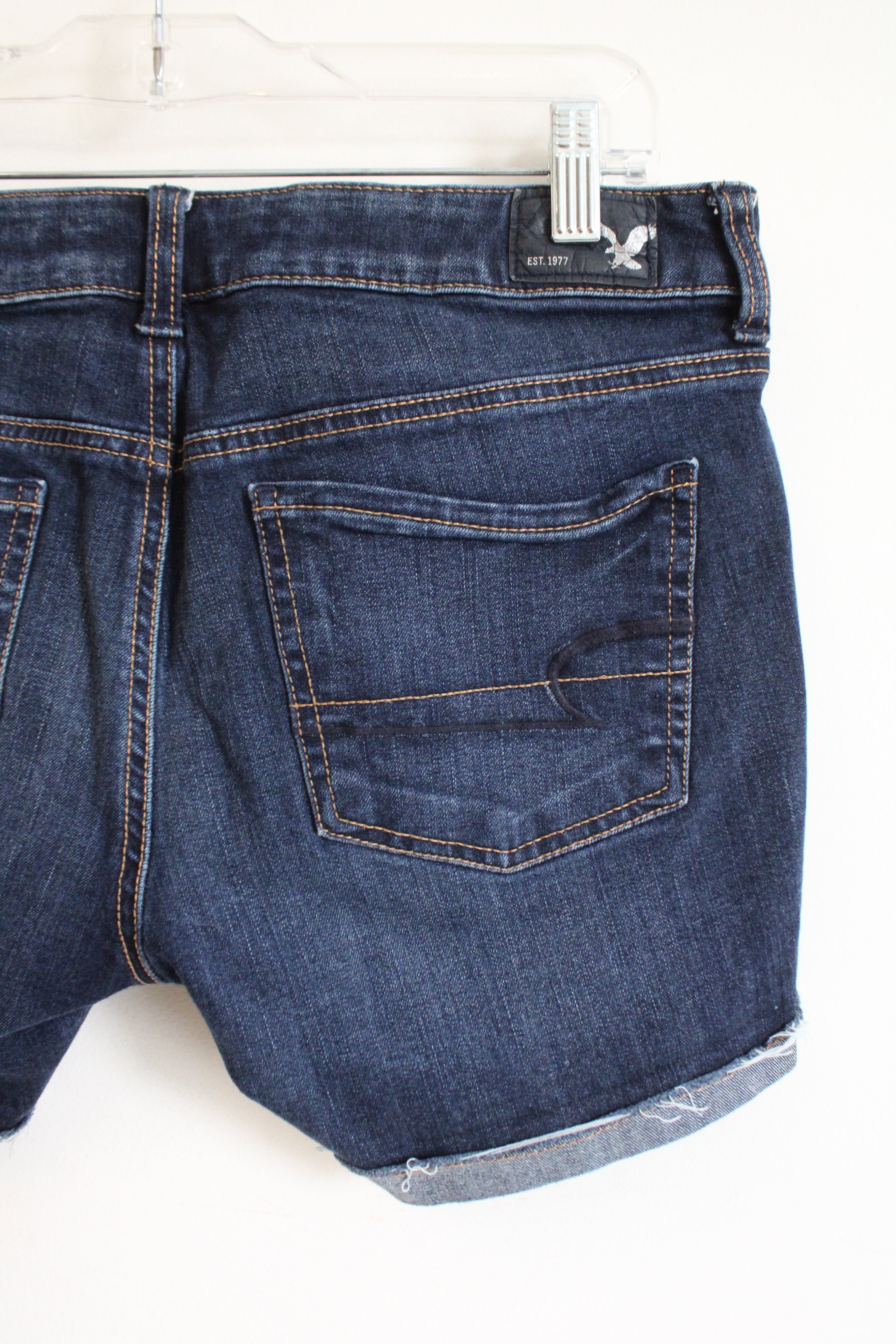American Eagle Super Stretch Denim Shorts | 10
