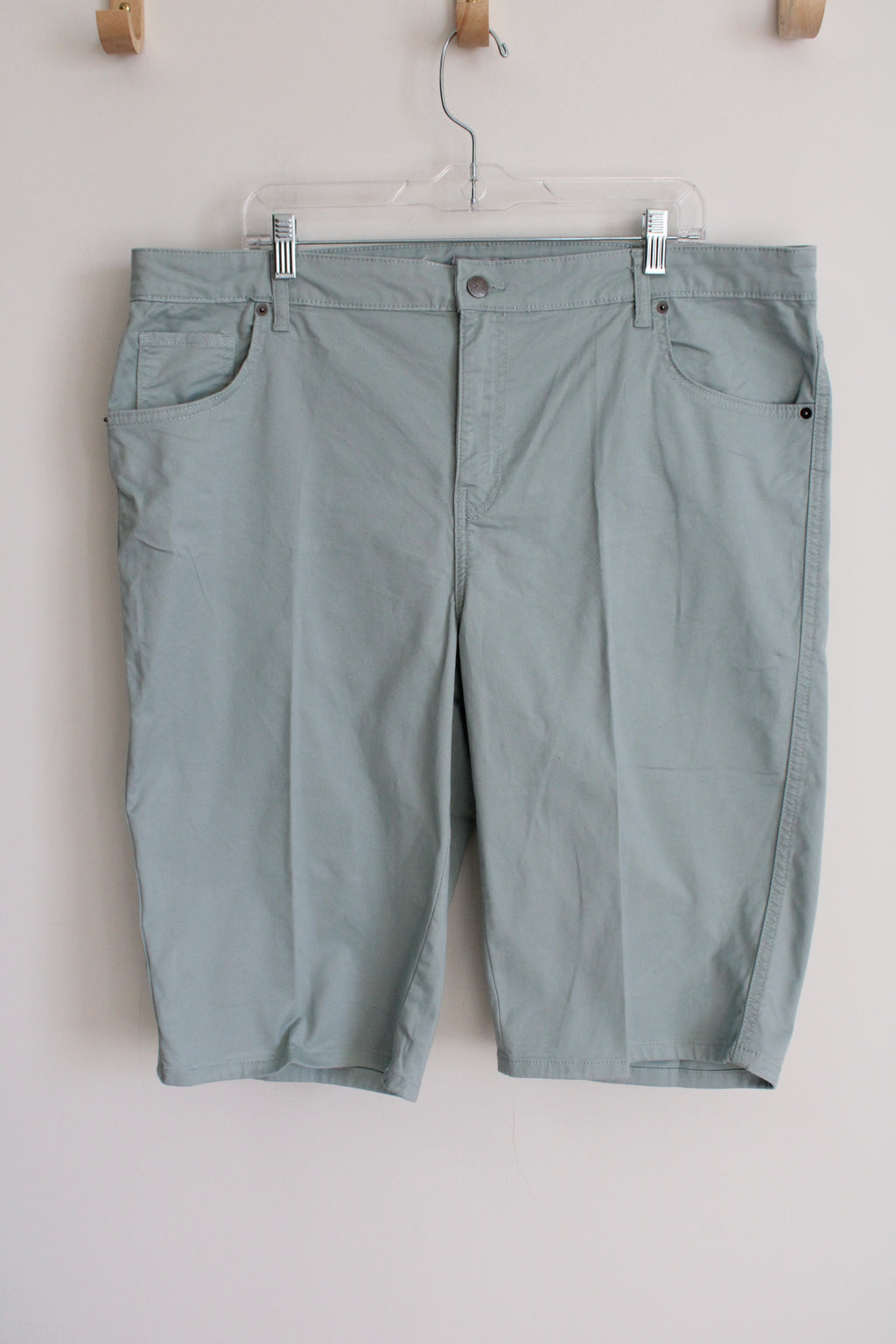 Purple & More Sage Shorts | 20W