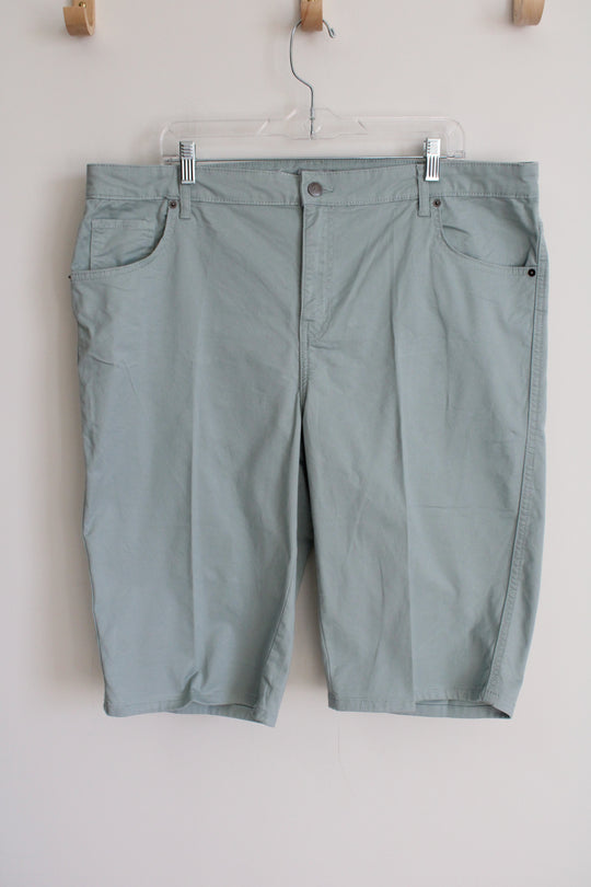 Purple & More Sage Shorts | 20W