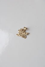 14K Yellow Gold "Special Sister" Necklace Pendant