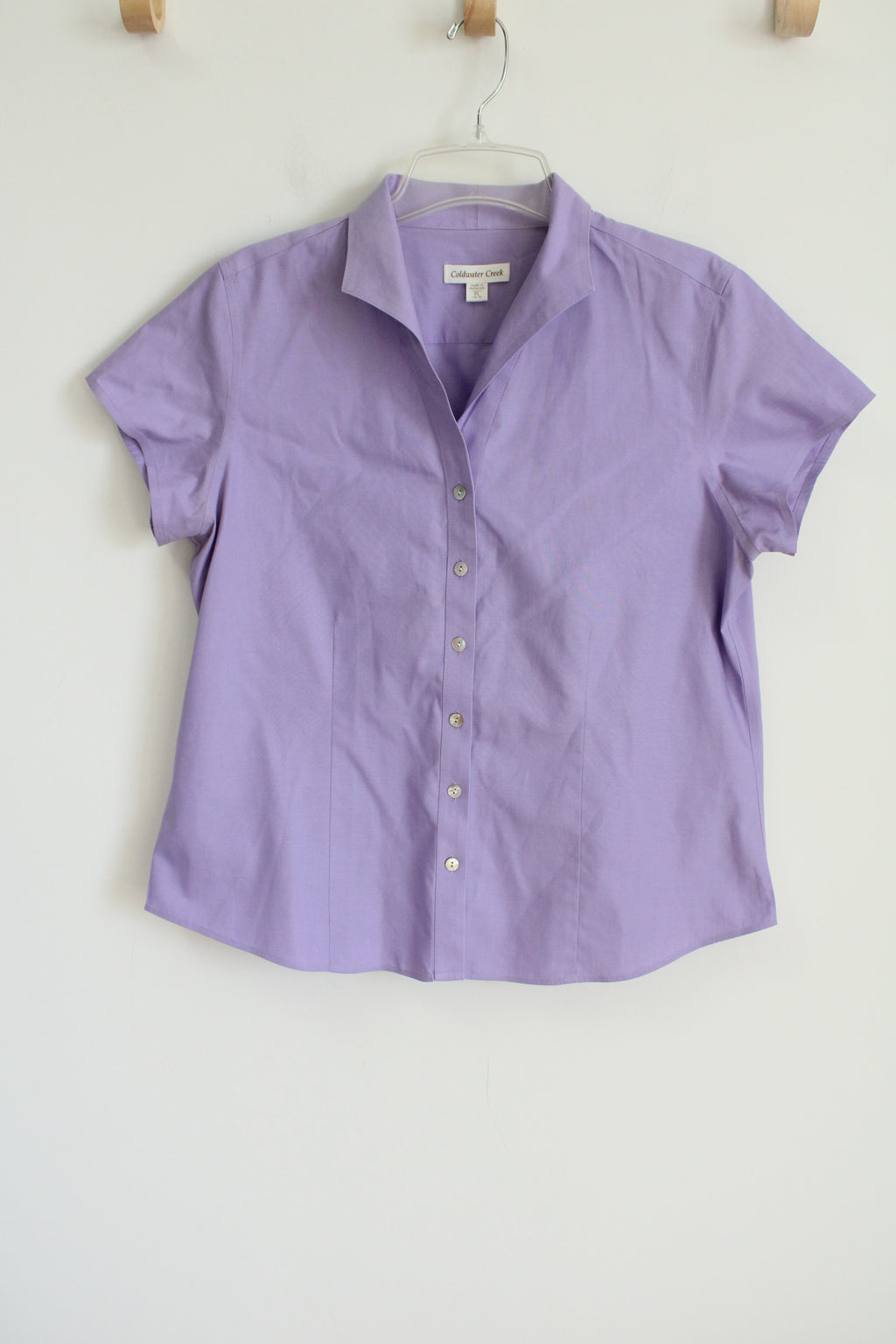 Coldwater Purple Button Down Shirt | L Petite