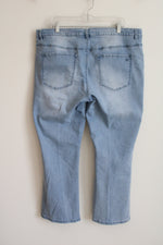 Diane Gilman Light Wash Jeans | 20W Petite