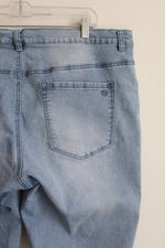 Diane Gilman Light Wash Jeans | 20W Petite
