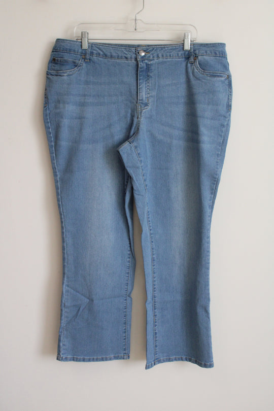 Denim 24/7 Light Wash Jeans | 20W Petite