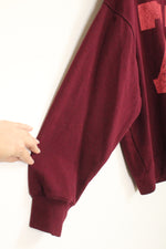 American Eagle Burgundy Hooded Sweatshirt | L