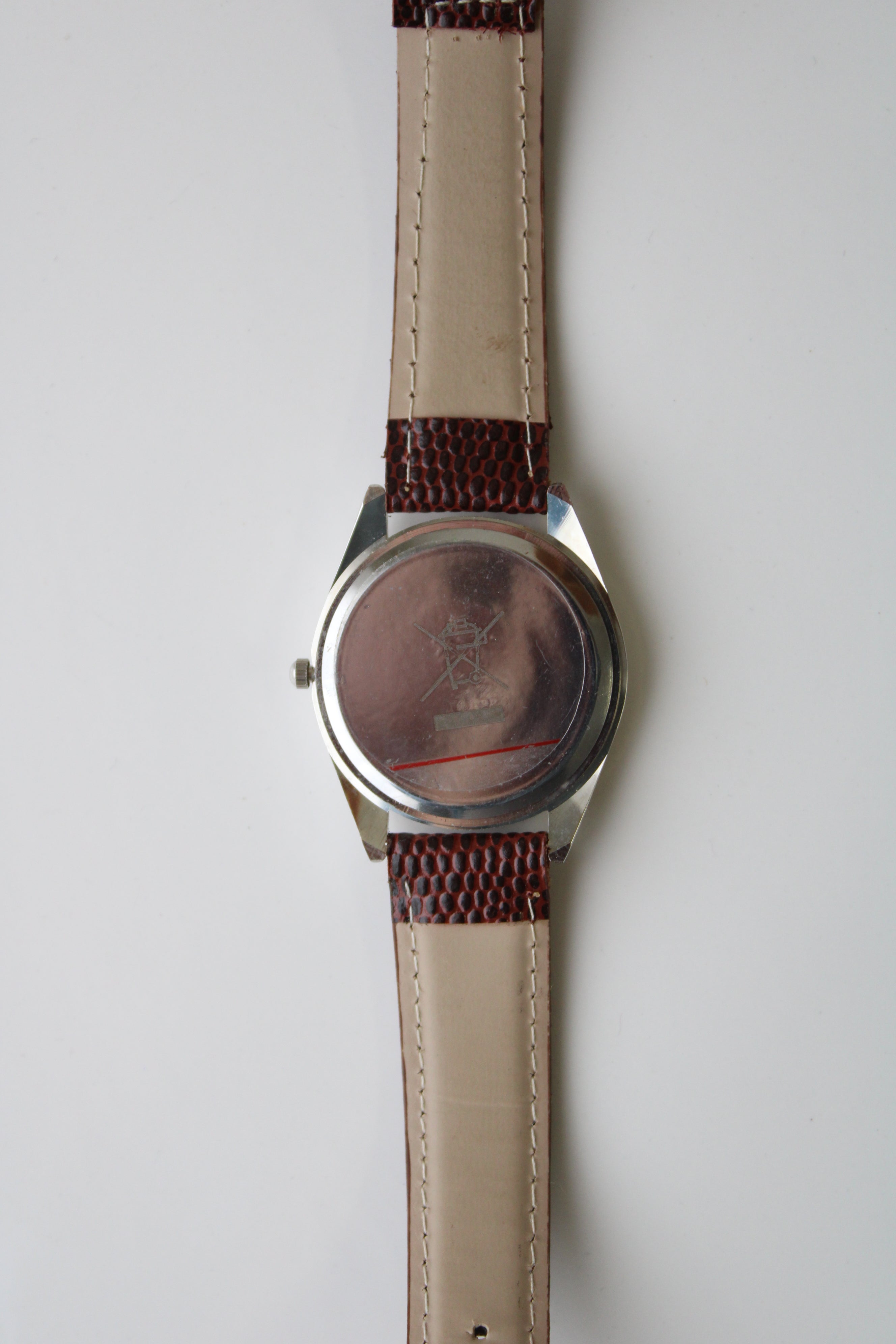 Eiger Brown Watch