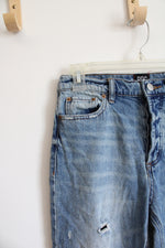 BDG Urban Outfitters Slim Straight Jeans | 26