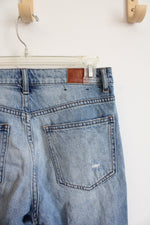BDG Urban Outfitters Slim Straight Jeans | 26
