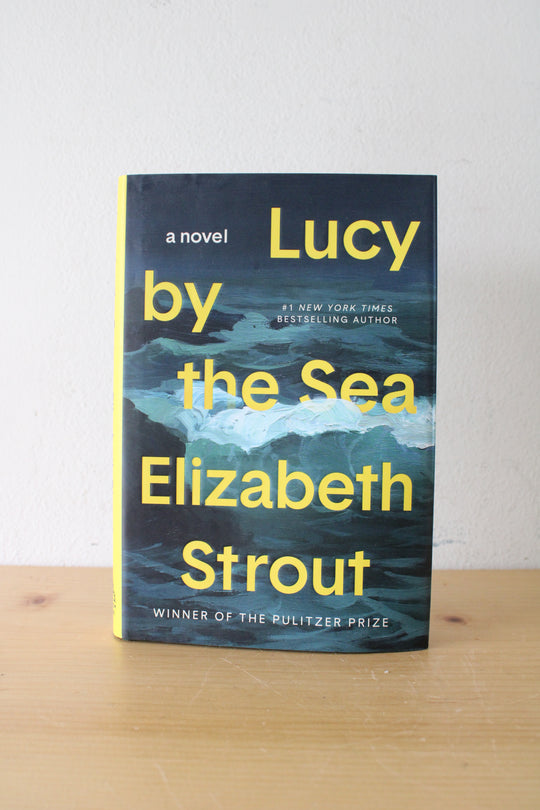 Lucy By The Sea Novel By Elizabeth Strout