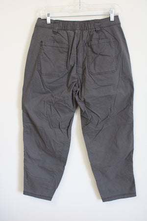 Old Navy High-Rise OG Chino Gray Ankle Pant | M
