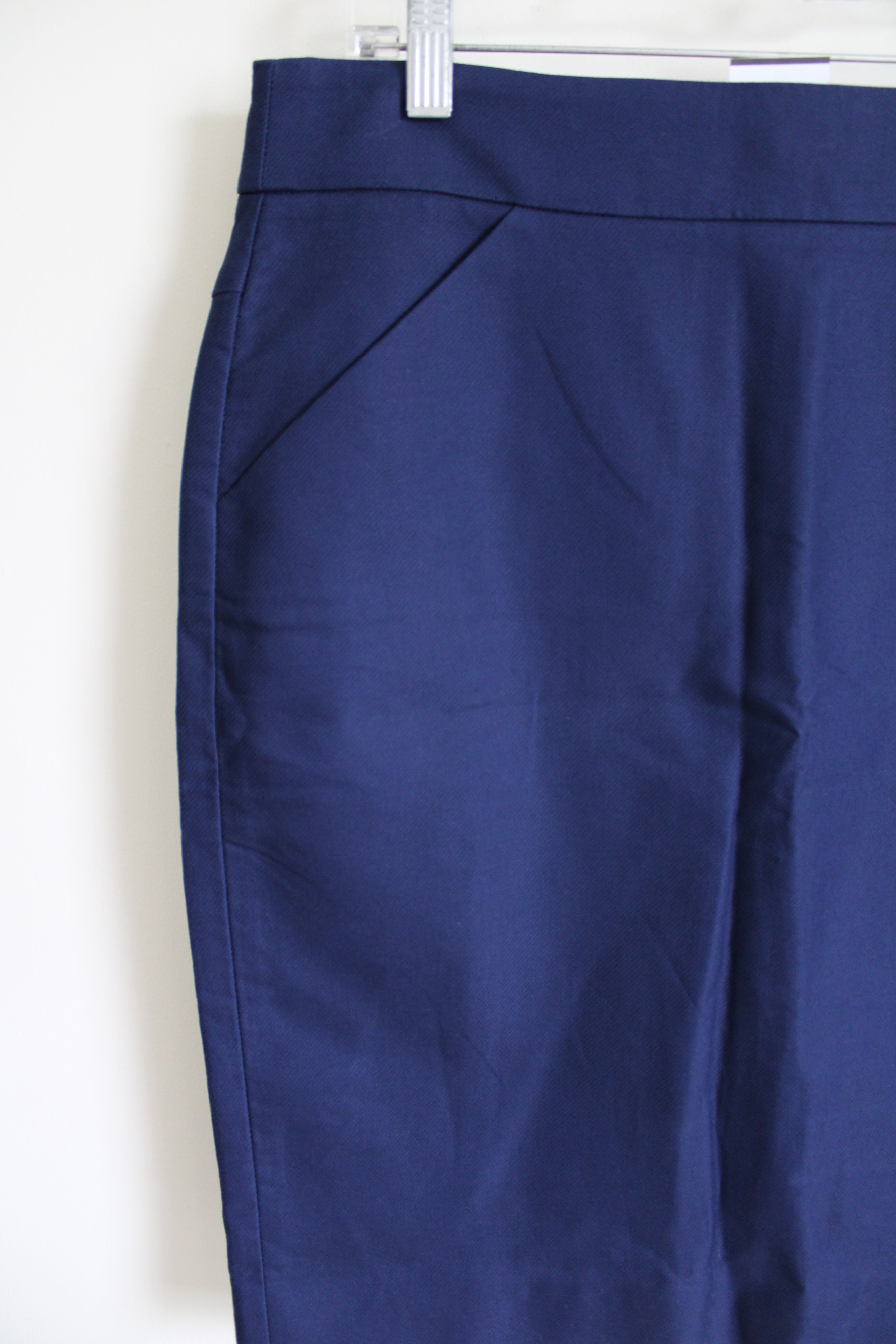 NEW J.Crew The Pencil Blue Skirt | 10