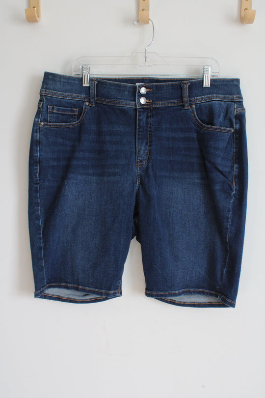 Lane Bryant Dark Wash Jean Towels | 18