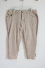 Lane Bryant Tan Pants | 18