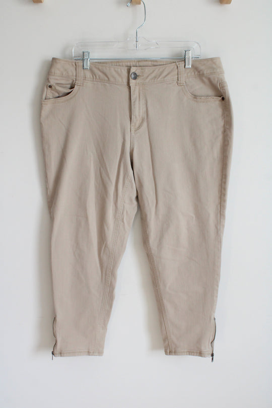 Lane Bryant Tan Pants | 18