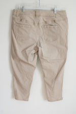 Lane Bryant Tan Pants | 18