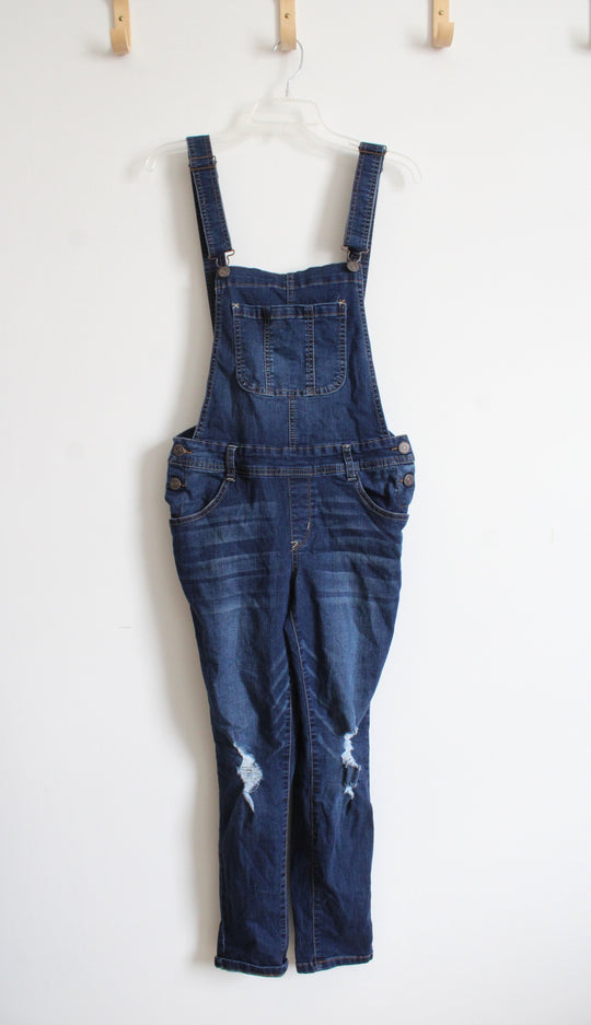 Wallflower Denim Overalls | M