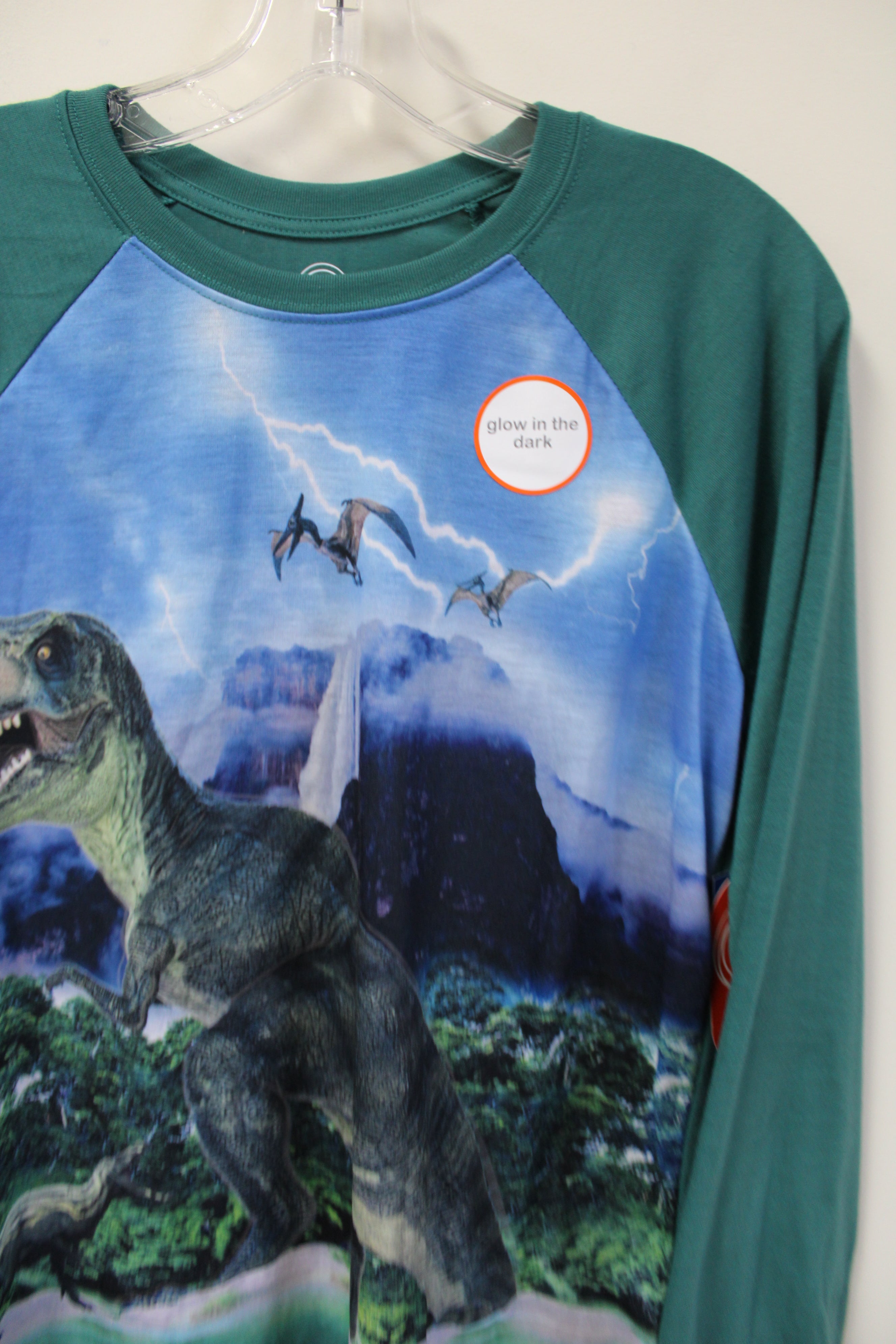 NEW Wonder Nation Glow In The Dark T-Rex Shirt | 18