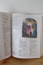 William Shakespeare The Complete Works And A Companion Guide Set