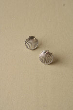 Sterling Silver Seashell Stud Earrings
