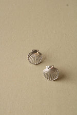 Sterling Silver Seashell Stud Earrings