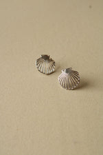 Sterling Silver Seashell Stud Earrings