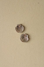 Sterling Silver Seashell Stud Earrings