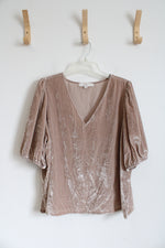 LOFT Taupe Crushed Velvet V-Neck Top | XL
