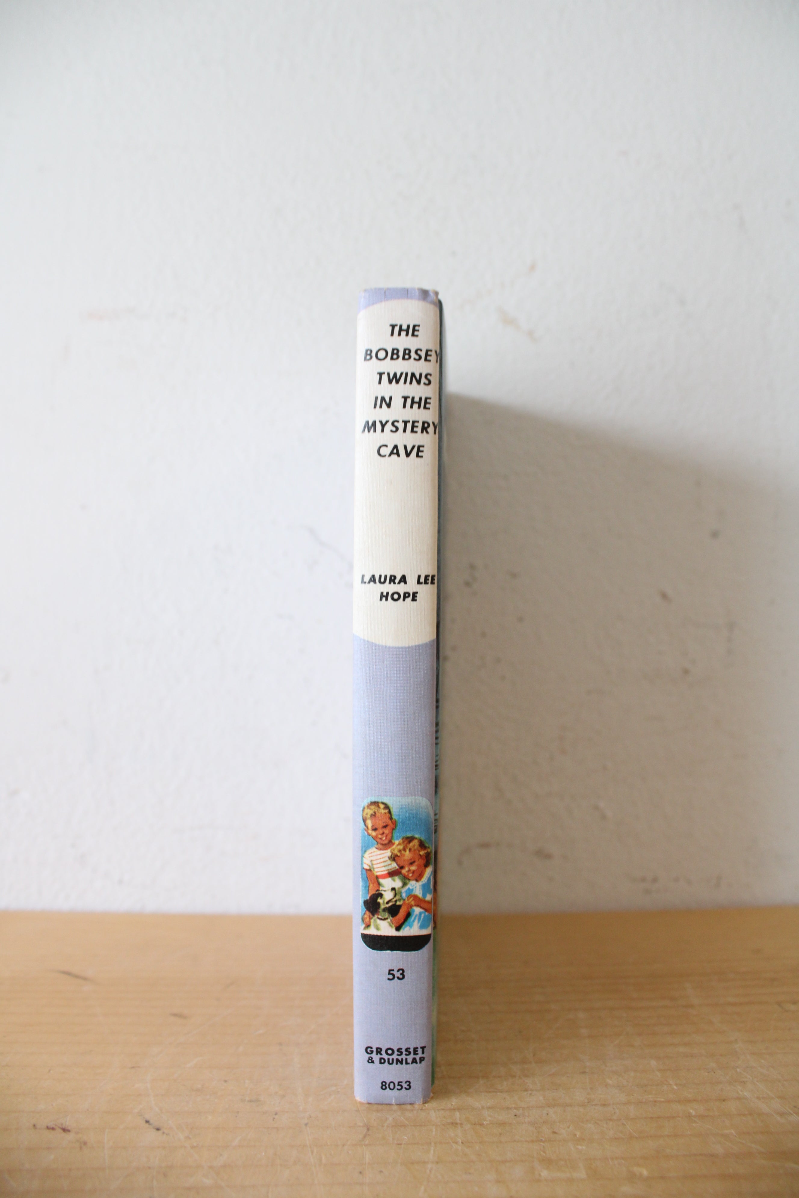 The Bobbsey Twins In The Mystery Cave By Laura Lee Hope