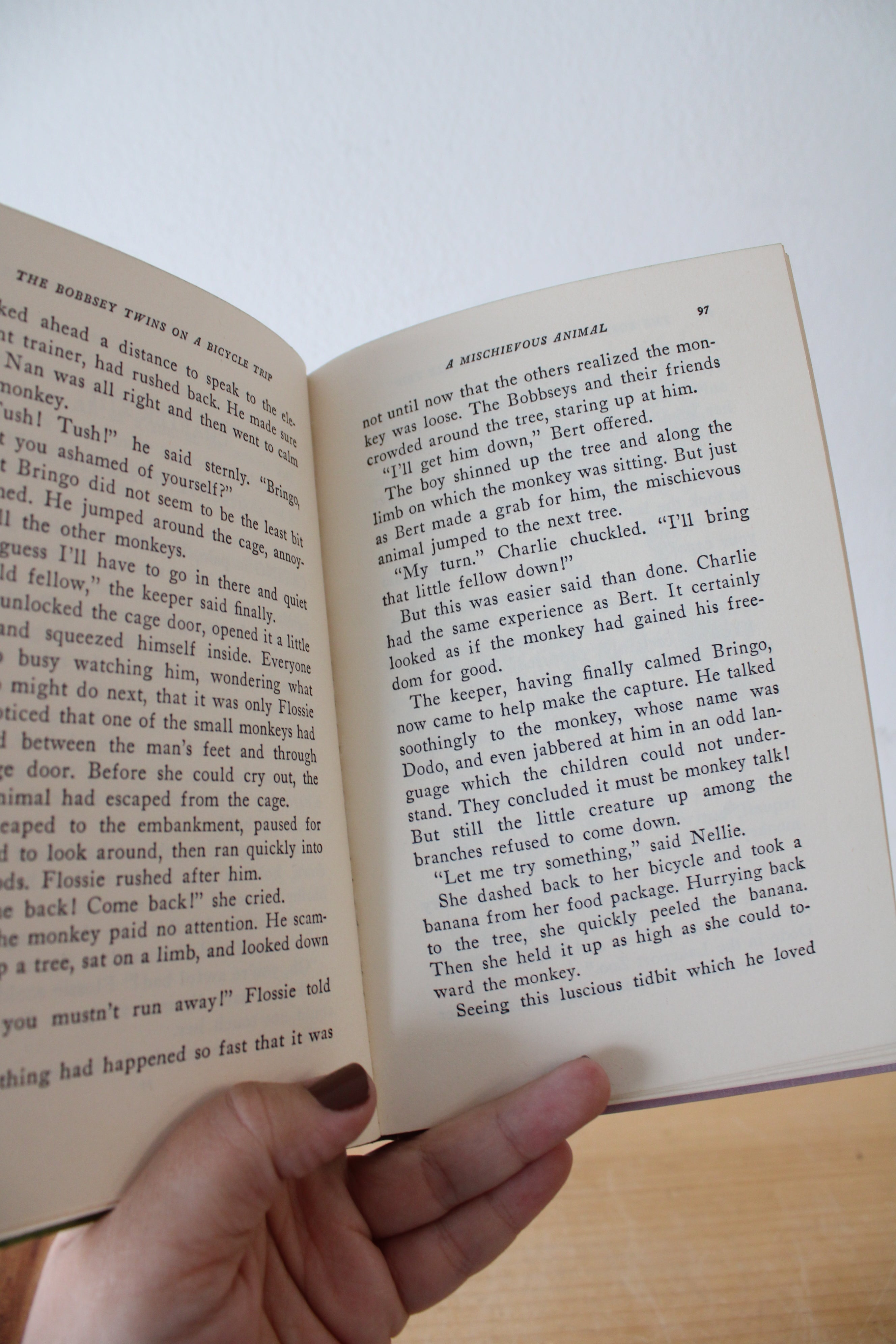 The Bobbsey Twins On A Bicycle Trip By Laura Lee Hope