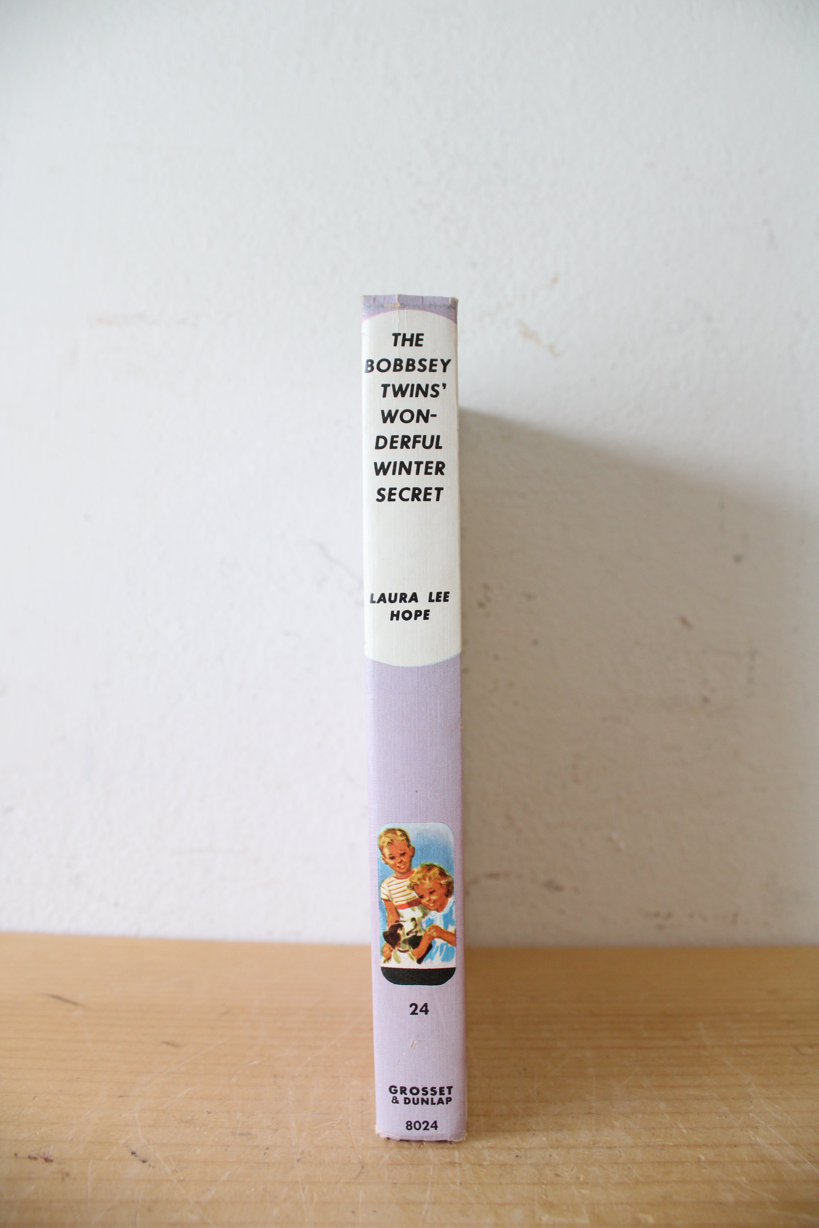 The Bobbsey Twins' Wonderful Winter Secret By Laura Lee Hope