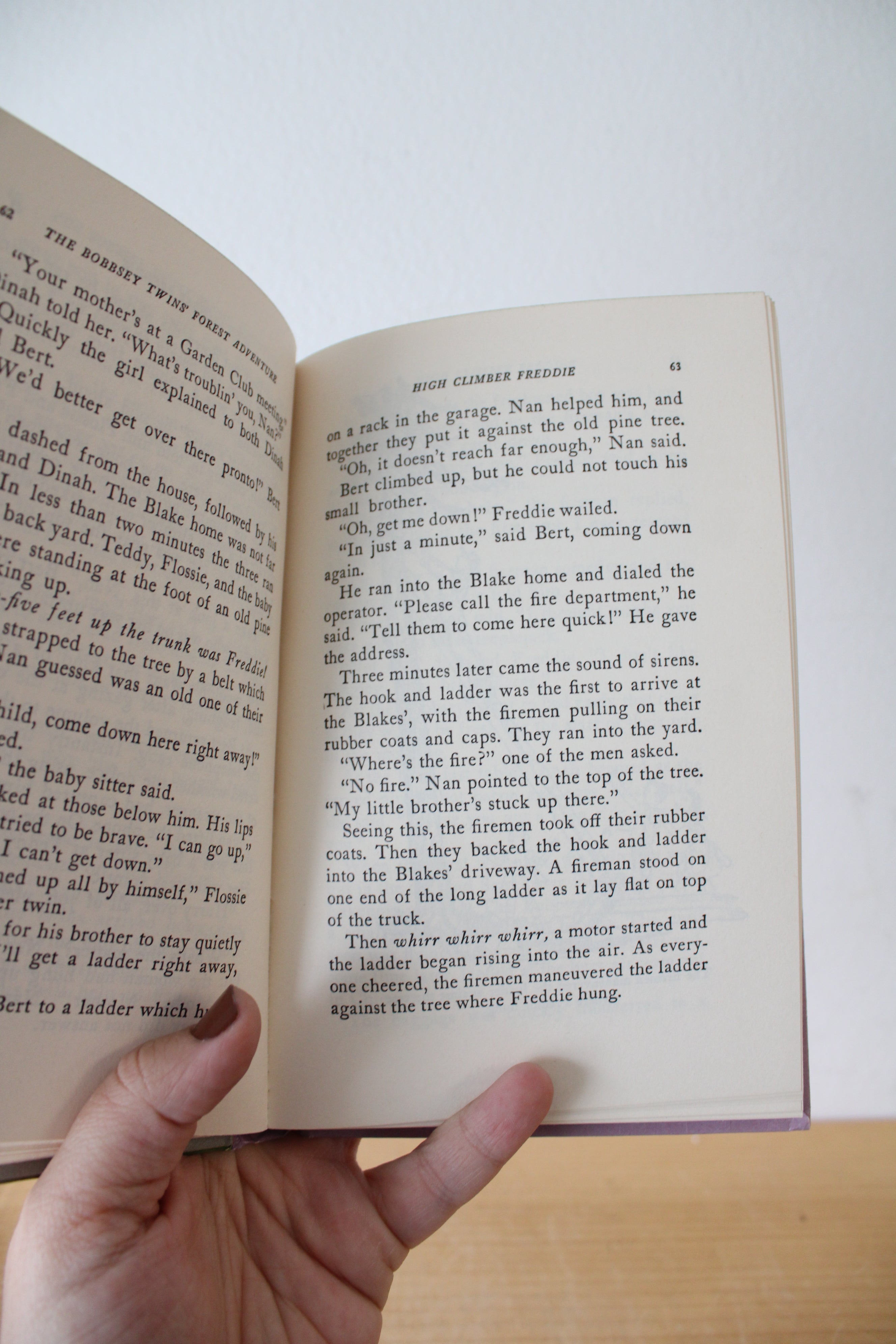 The Bobbsey Twins' Forest Adventure By Laura Lee Hope