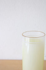 Vintage Vue-Lon Ware Painted Gold Rimmed Glass