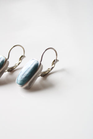Premium Designs Blue Stone Earrings