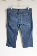 J.Crew Hipslung Denim Capri | 32 (14)