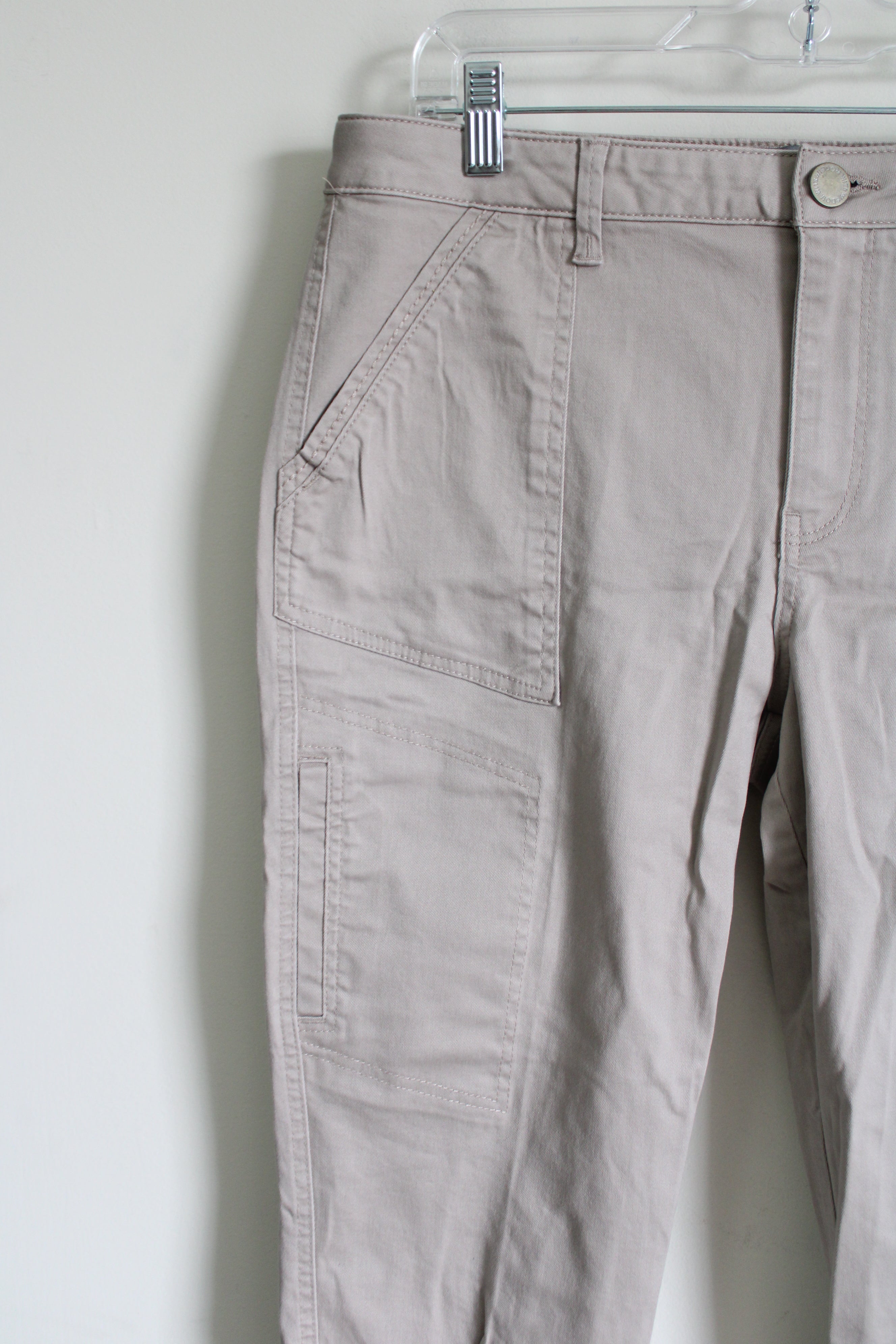 Wit & Wisdom Tan Skinny Pant | 10