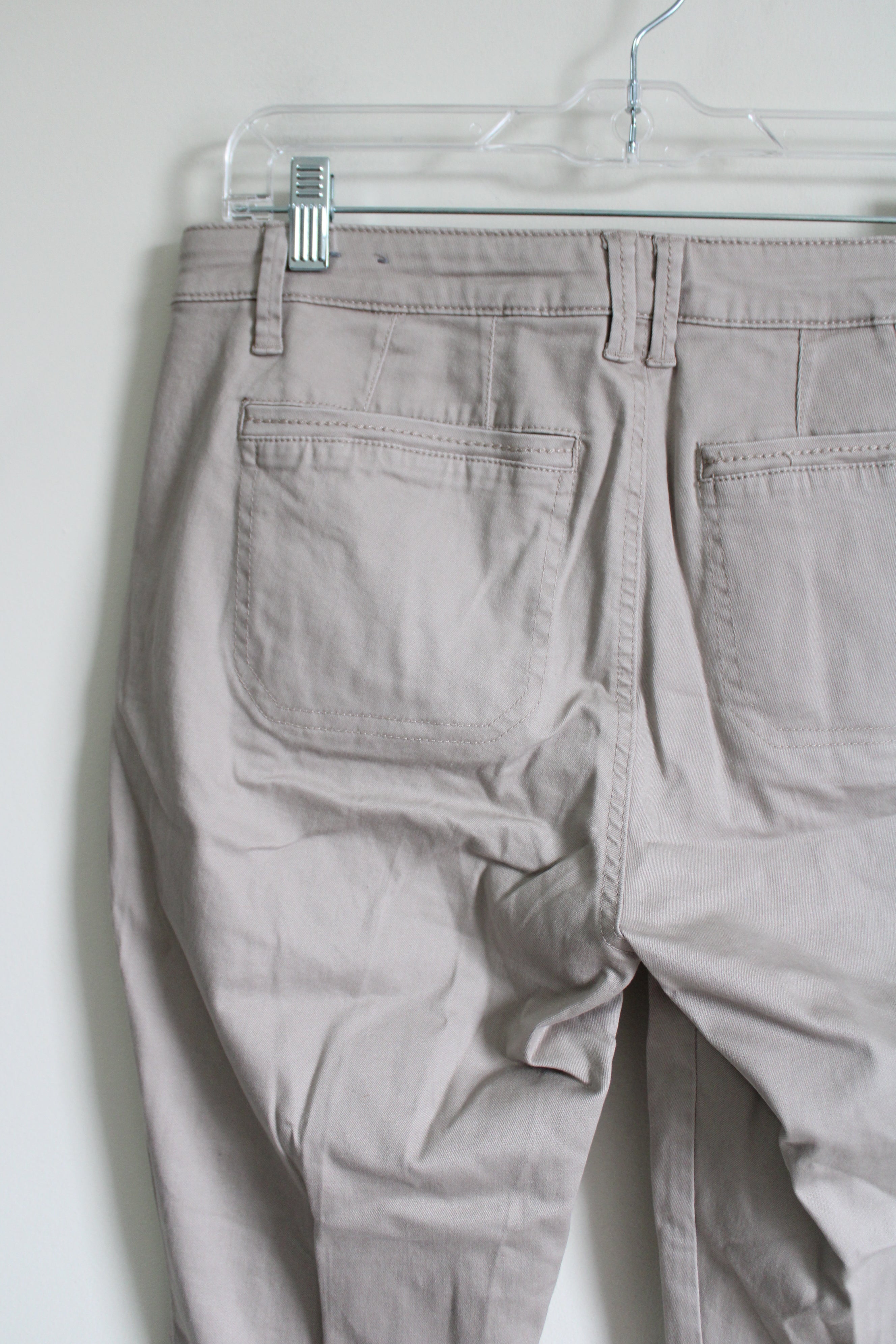 Wit & Wisdom Tan Skinny Pant | 10