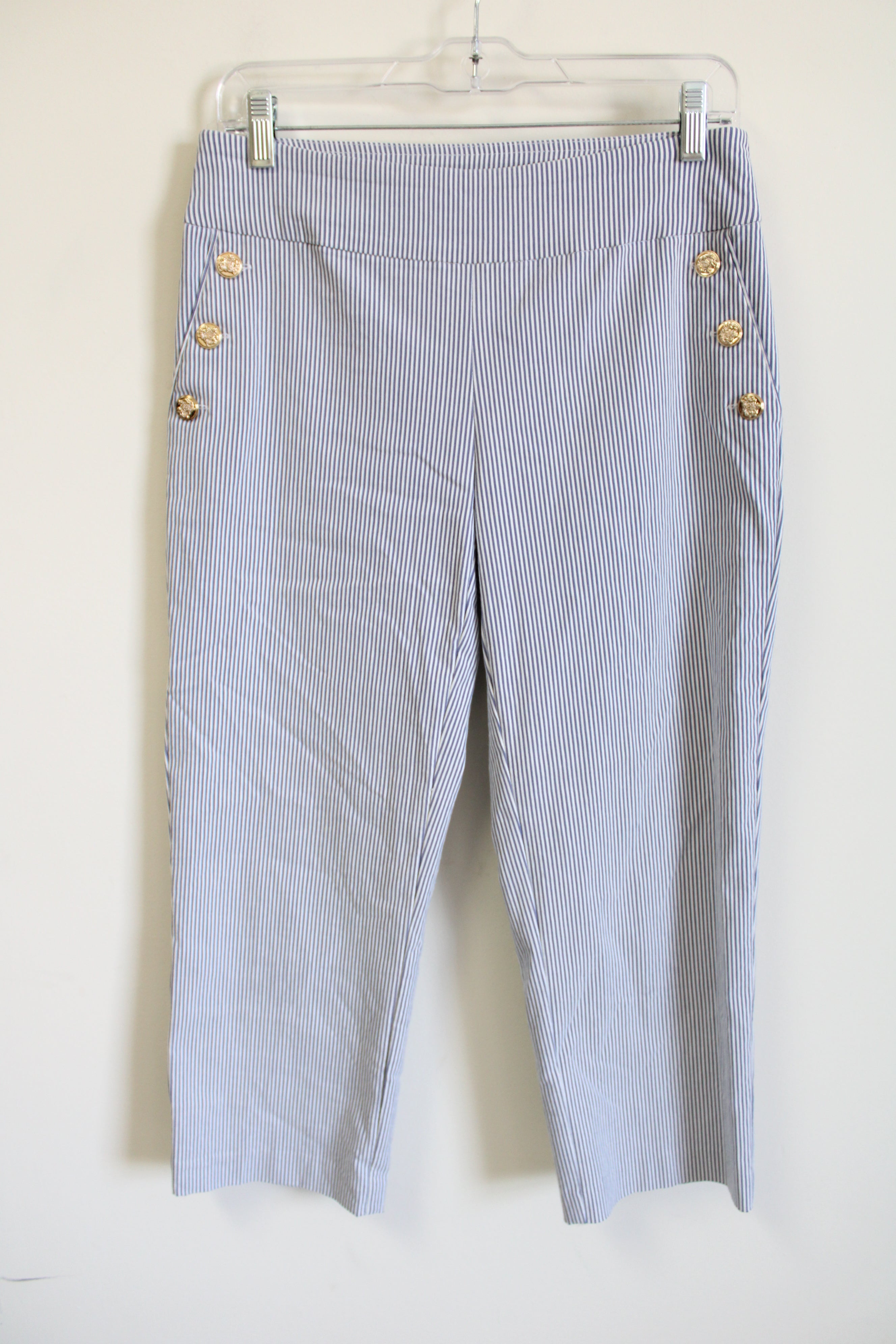 Roz & Ali Blue Striped Capri Pant | 4